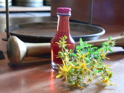 Herstellung einer Kräutersalbe