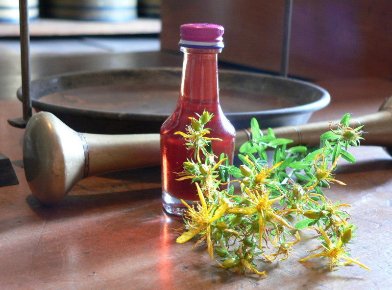 Herstellung einer Kräutersalbe